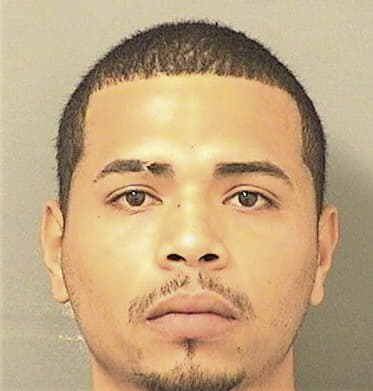 Pedro Martinezmejia, - Palm Beach County, FL 